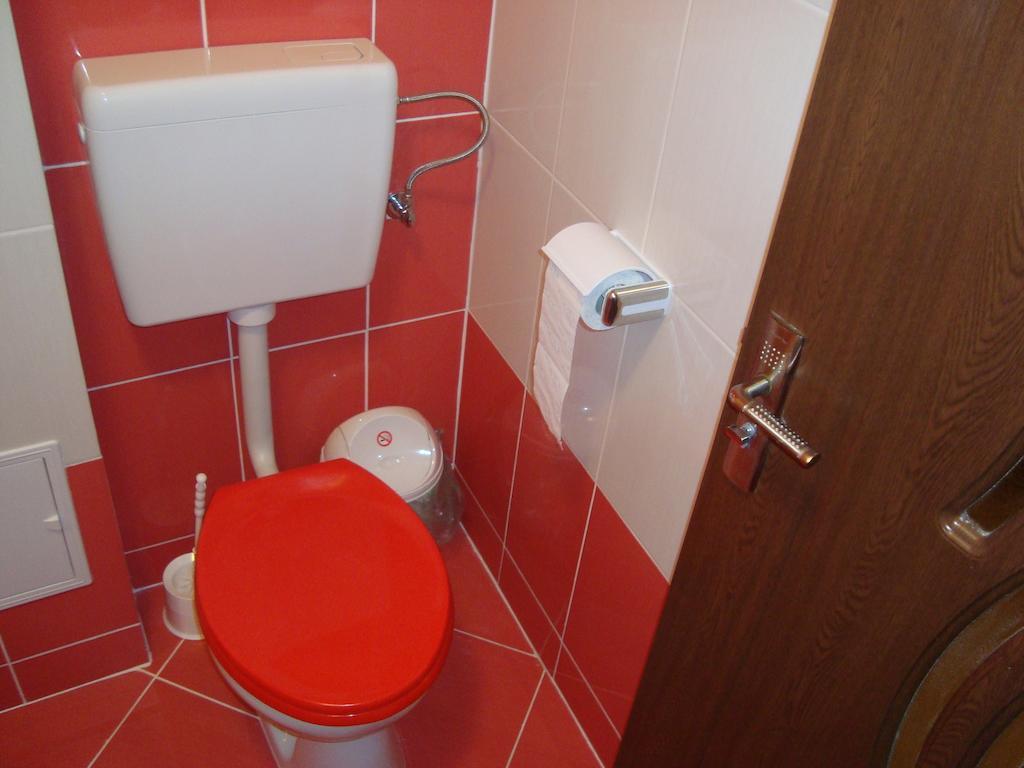 Apartament Miruna Sibiu Filarmonicii Habitación foto